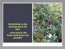 slide.018