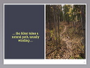 slide.026