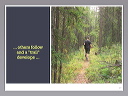 slide.027