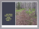 slide.031