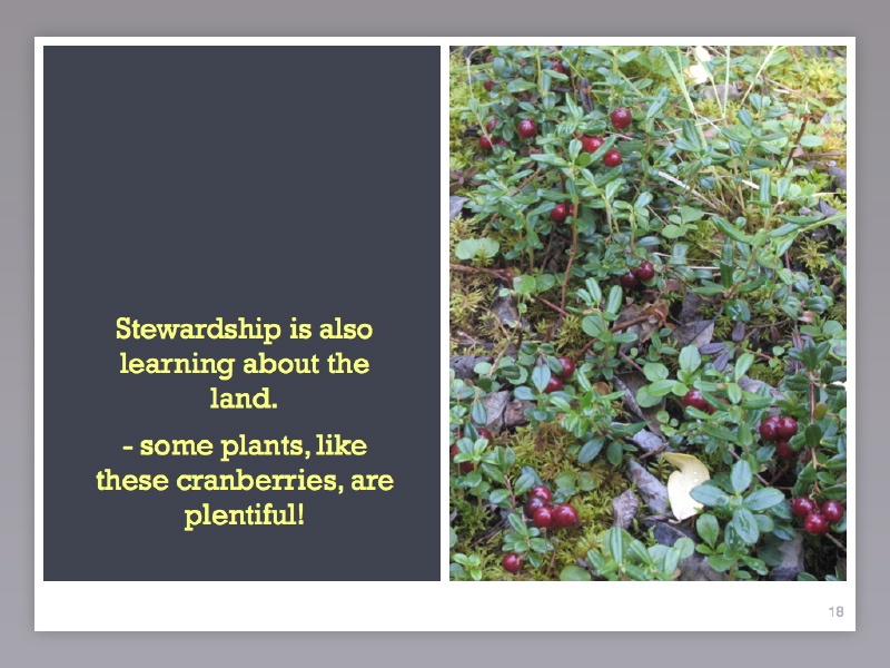 slide.018.jpg