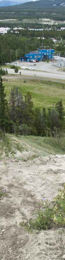 looking down to the ball diamonds